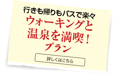 sAoXŊyXEH[LOƉ𖞋i