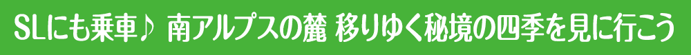 SLにも乗車♪ 南アルプスの麓 移りゆく秘境の四季を見に行こう