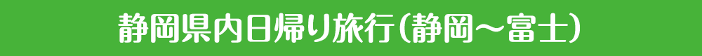 静岡県内日帰り旅行（静岡～富士）