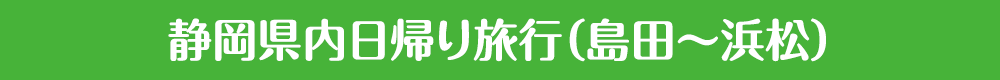 静岡県内日帰り旅行(島田~浜松)
