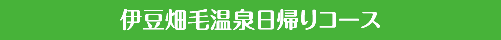 伊豆畑毛温泉日帰りコース